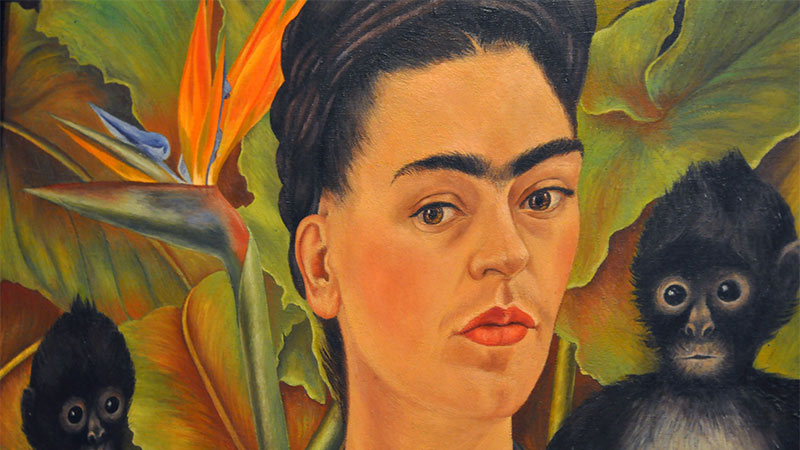 Frida Kahlo'S Eyes
