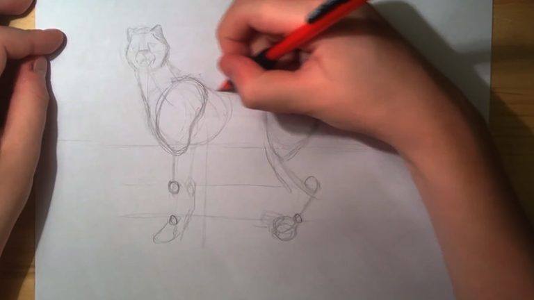 Draw 4 Legged Animals