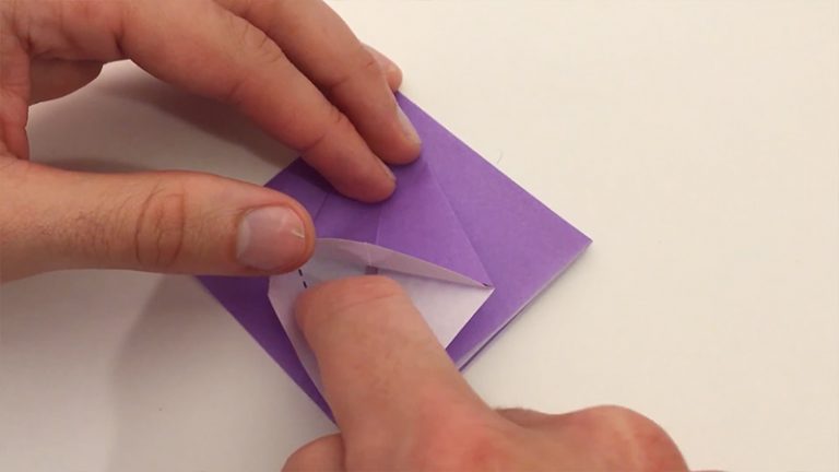 Squash Fold In Origami