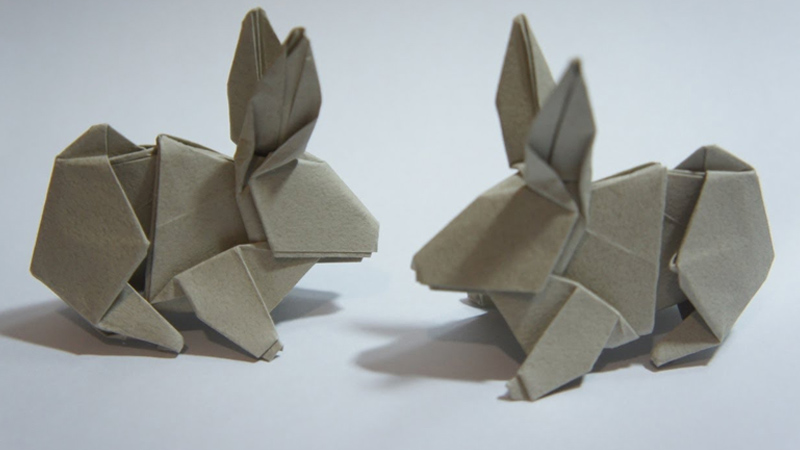 Animal Is A Level 1 In Origami