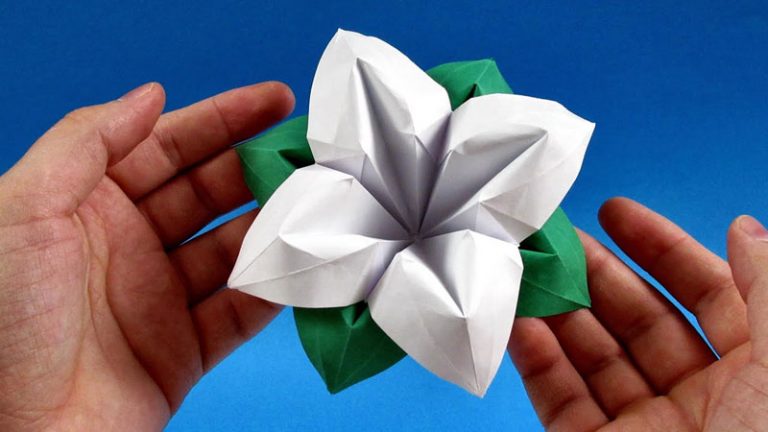 Kind Of Origami Flower Is In White Collar