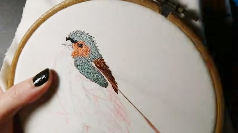 Embroider A Bird's Beak