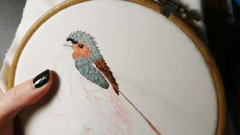  Embroider A Bird's Beak