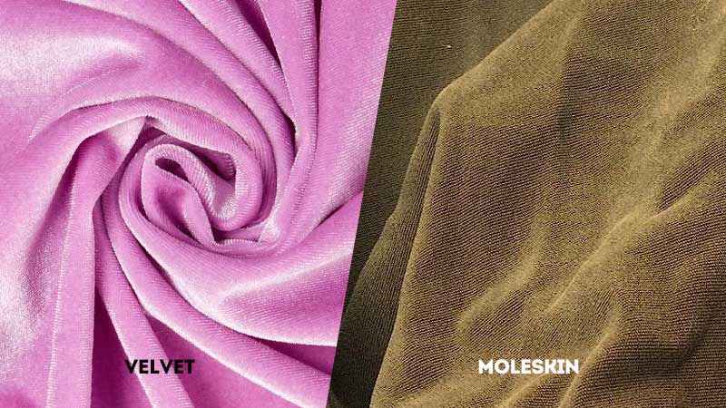 Velvet Vs Moleskin: What's the Difference? - Wayne Arthur Gallery