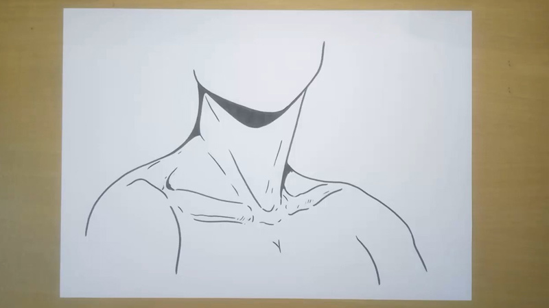 How To Draw Collar Bones? -Guide for Beginners and Advanced Artists ...