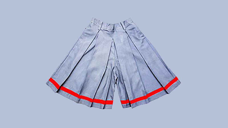 Divided Skirt