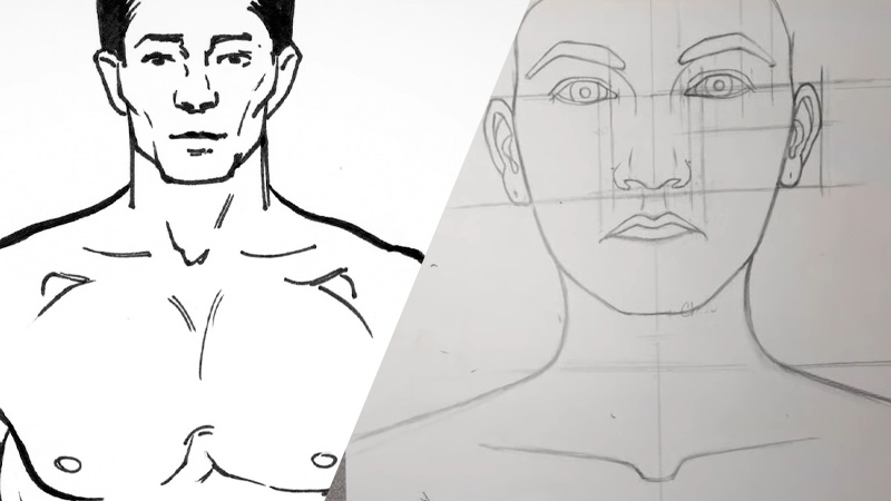 Draw Male and Female Collar Bones