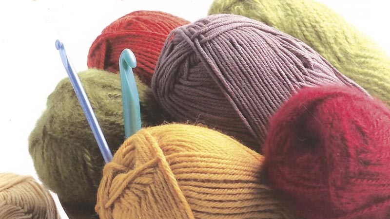 Leisure Arts Beginner's Guide to Crochet