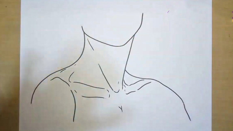 How To Draw Collar Bones? -Guide for Beginners and Advanced Artists ...