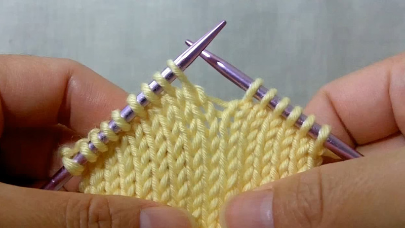 Begin with a Regular Knit Stitch