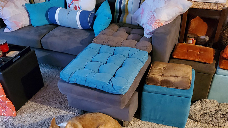 Fixed Cushions