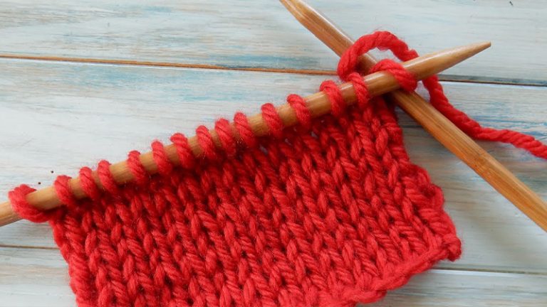 Knit the Knit Stitch