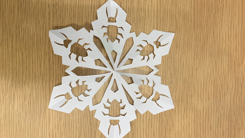 How to Make a Snowflake with Paper and Scissors