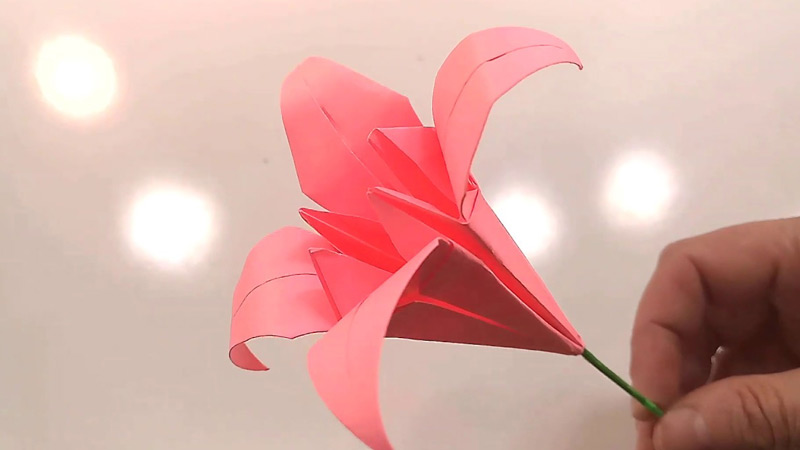 Origami Flowers