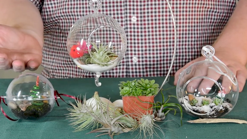 Terrarium Ornaments