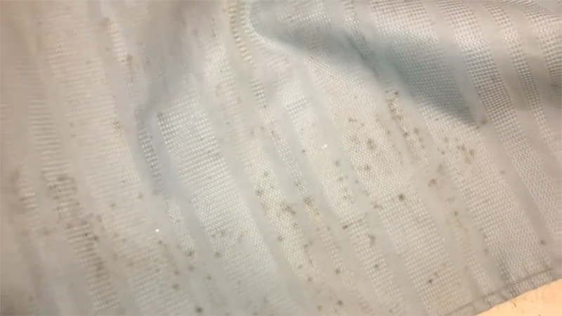 How To Remove Mold From Fabric