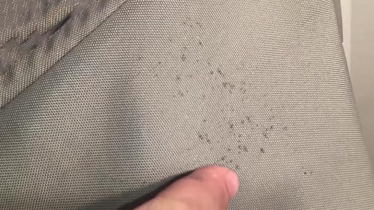 How to Remove Mildew Stain From Fabric
