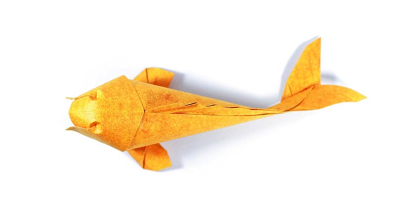 What Paper Color Enhances the Beauty of Folded Origami Koi