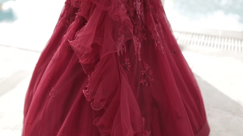 Crimson Regality Gown 