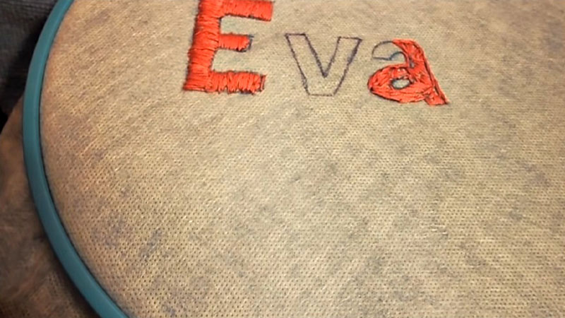 Hand Embroider On Fleece