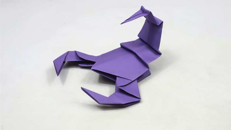 Easy Origami Models for Beginners